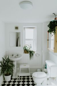 toilettes salle de bain blanc plantes