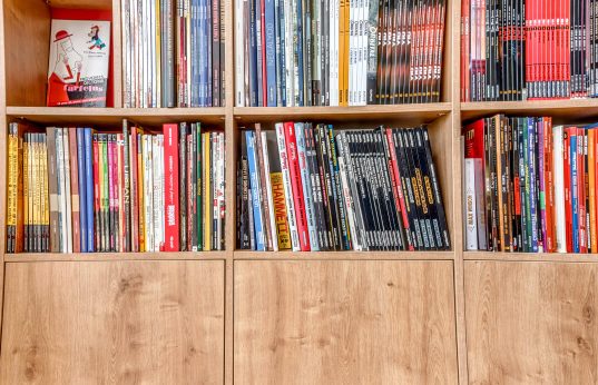 bibliothèque bd sur mesure